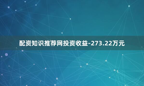 配资知识推荐网投资收益-273.22万元