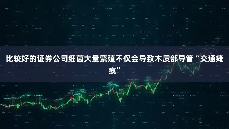 比较好的证券公司细菌大量繁殖不仅会导致木质部导管“交通瘫痪”